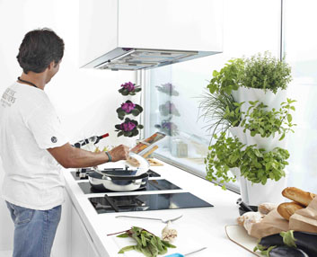 Un minigarden de esquina